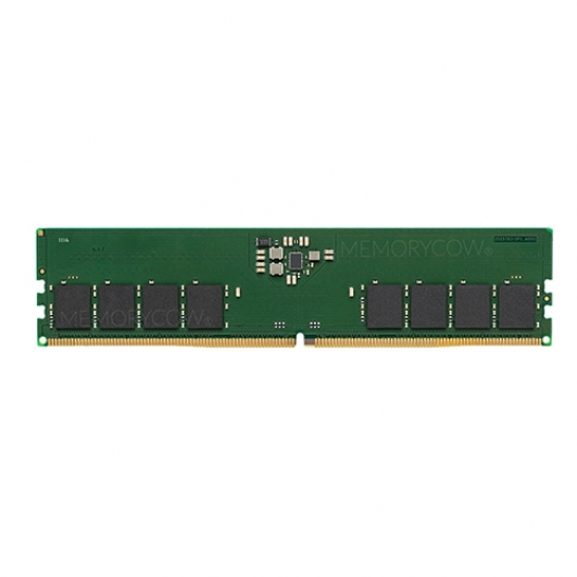 16GB DDR5 PC5-38400 4800MT/s 288-pin DIMM ECC Unbuffered Memory RAM