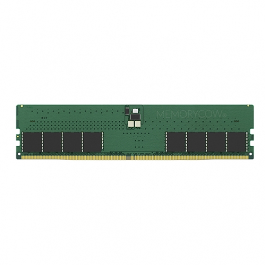 32GB DDR5 PC5-38400 4800MT/s 288-pin DIMM ECC Registered Memory RAM (2Rx8)
