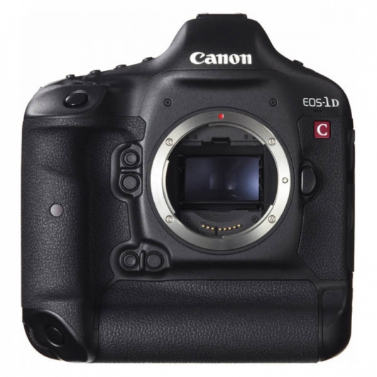 Canon EOS 1Dc