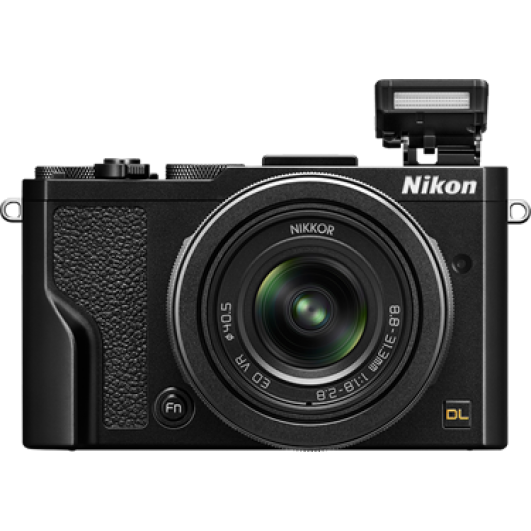 Nikon DL24-85